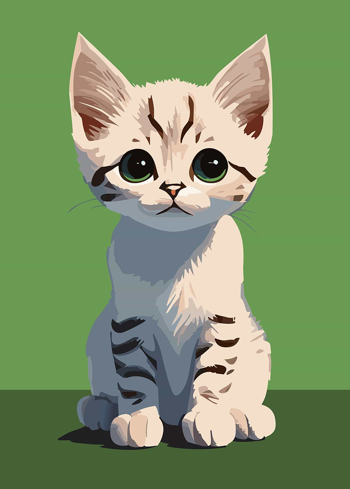 Cute White Kitten