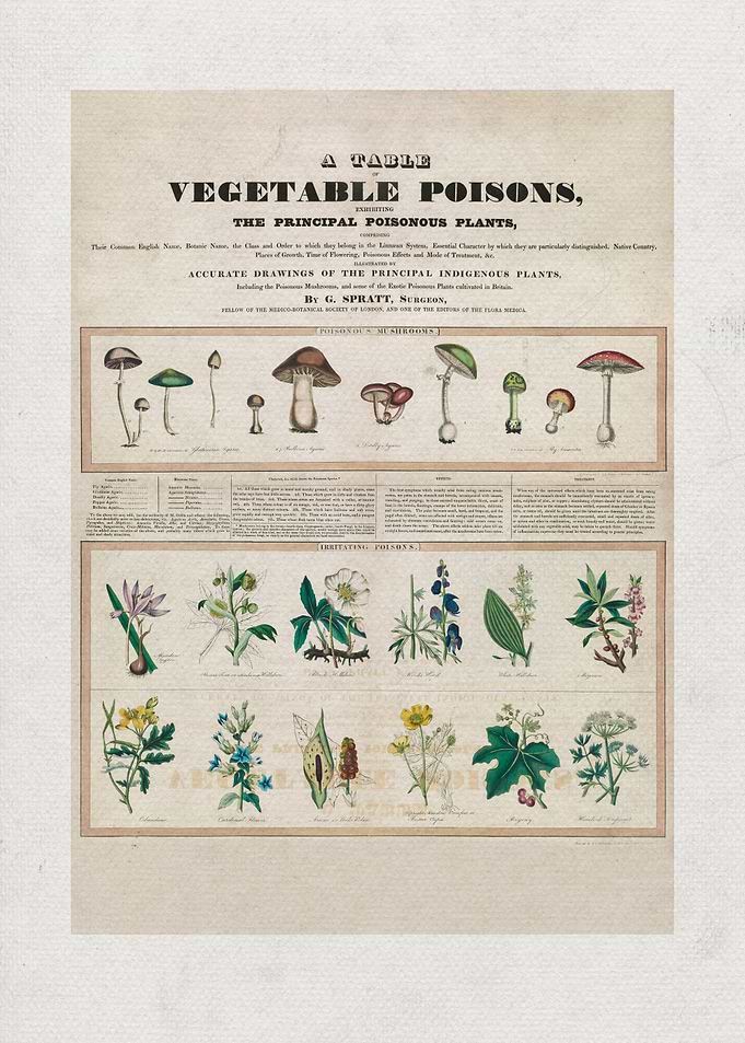Poisonous Mushrooms