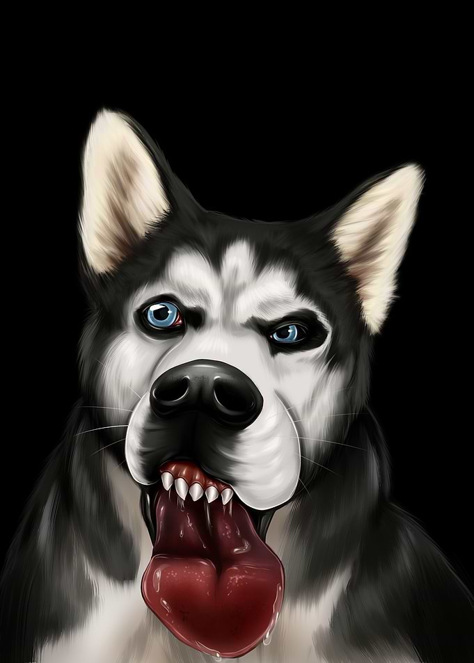 Dogs Tongue