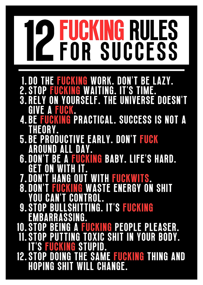 12 Fucking Rules Success
