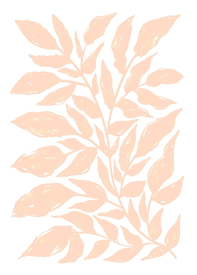 Peach Fuzz Leafy plant