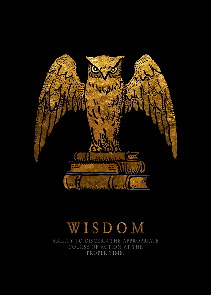 Stoic Virtue Wisdom