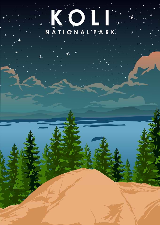 Koli National Park Night