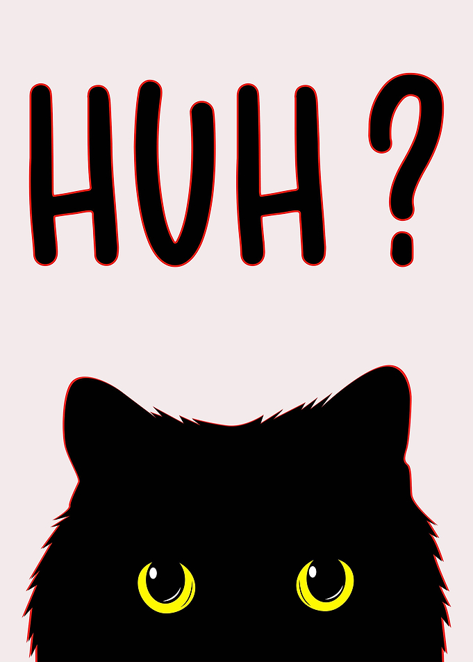 Funny Cat Meme
