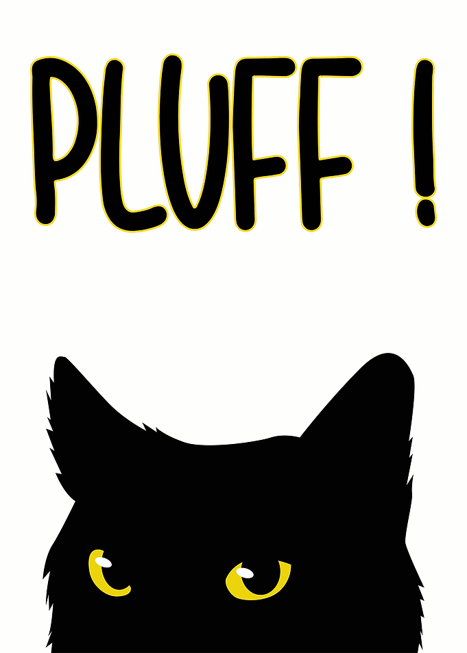 Funny Black Cat