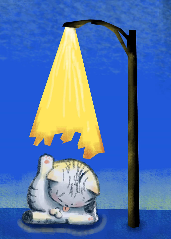cat with ball