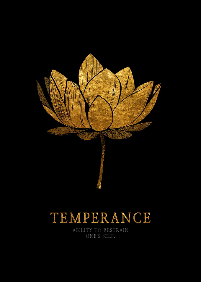 Stoic Virtue Temperance