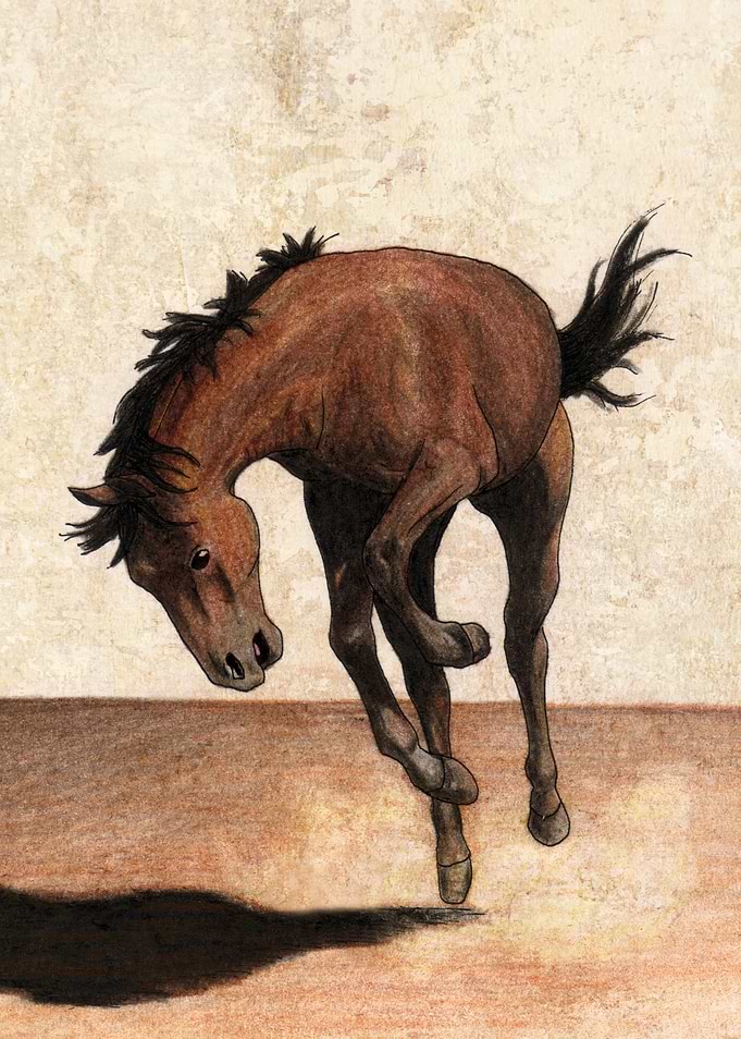 Wild horse