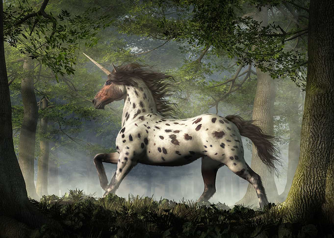 Leopard Appaloosa Unicorn