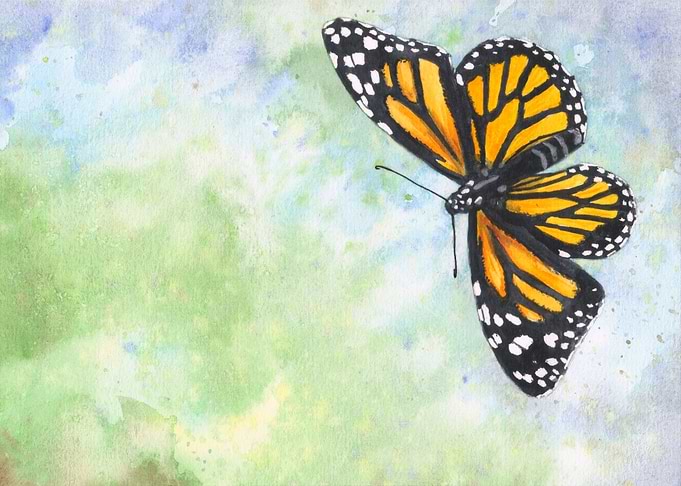 Monarch butterfly