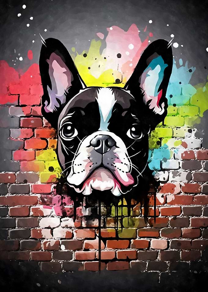 Boston Terrier Graffiti