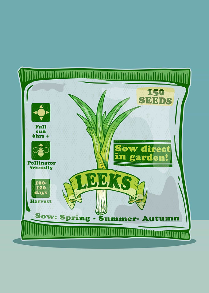 Leek seeds