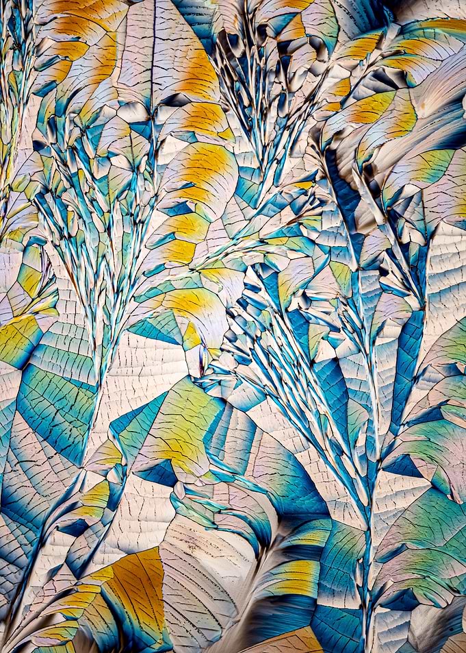 Crystal Patterns VIII