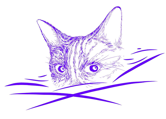 Cat behind blade of grass