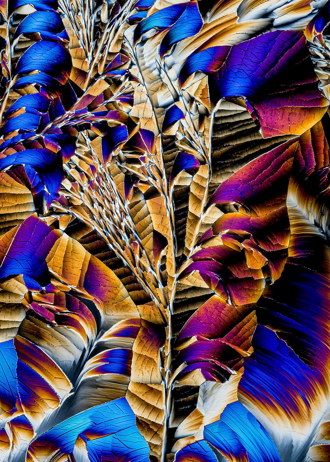 Crystal Patterns VII