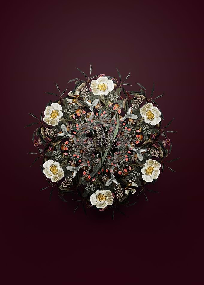 Meadow Squill Wreath