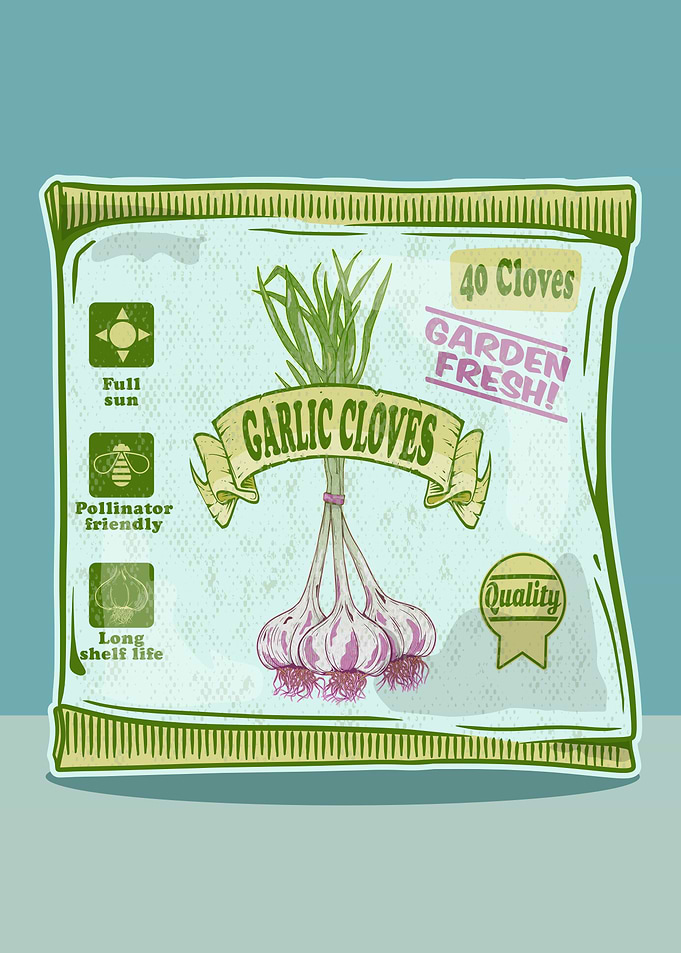 Garlic cloves
