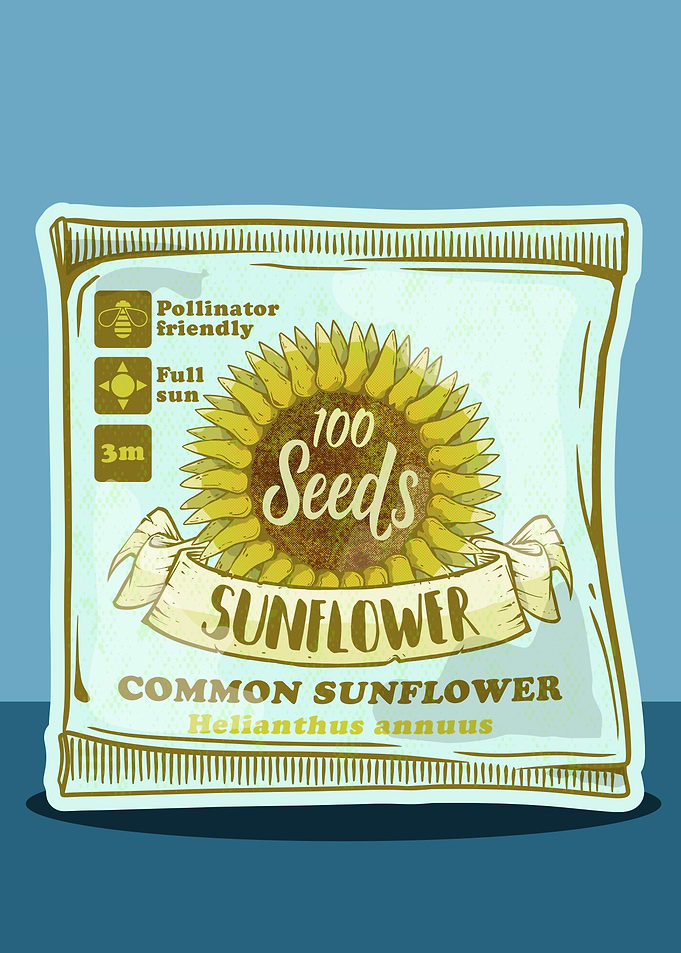 Sunflower Seeds