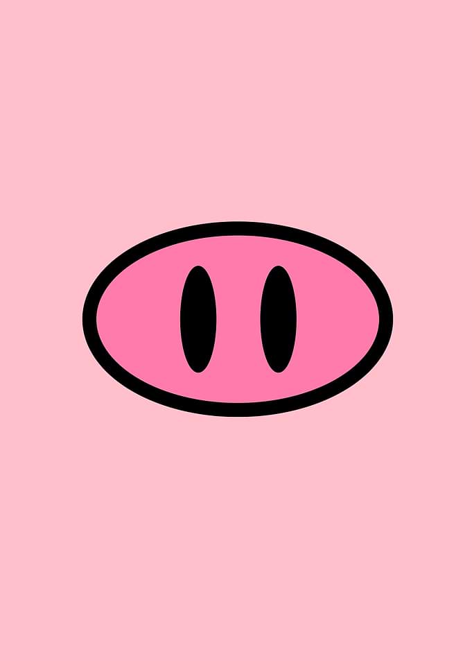 Cute Pig Nose