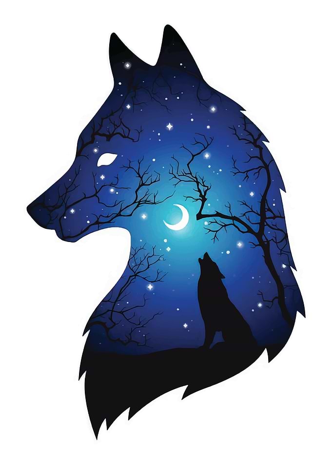 wolf