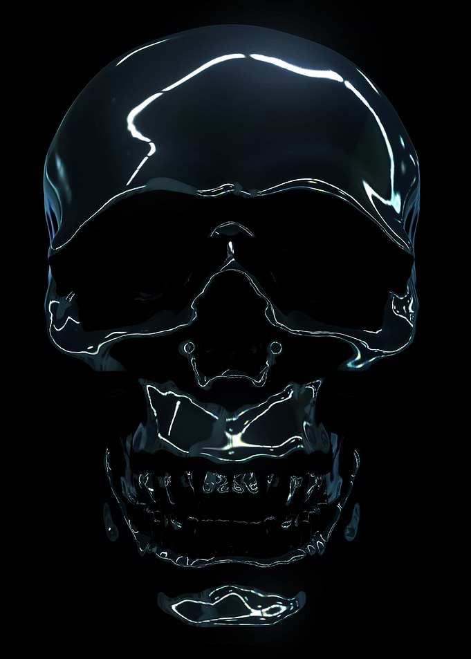 Skull of chrome
