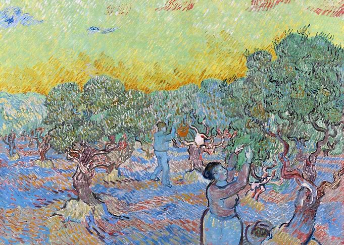 Olive grove with pickers