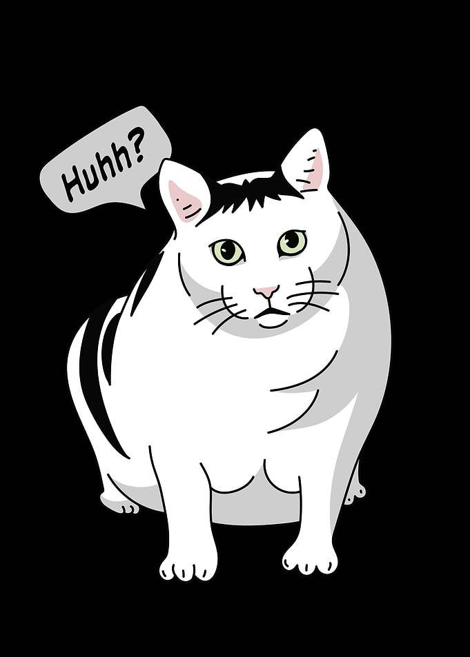 Hhh Cat Meme Funny