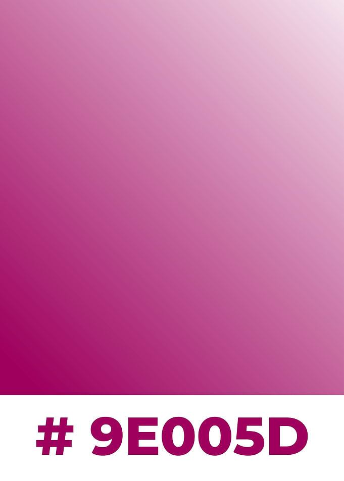 Colorfull Gradient Pink