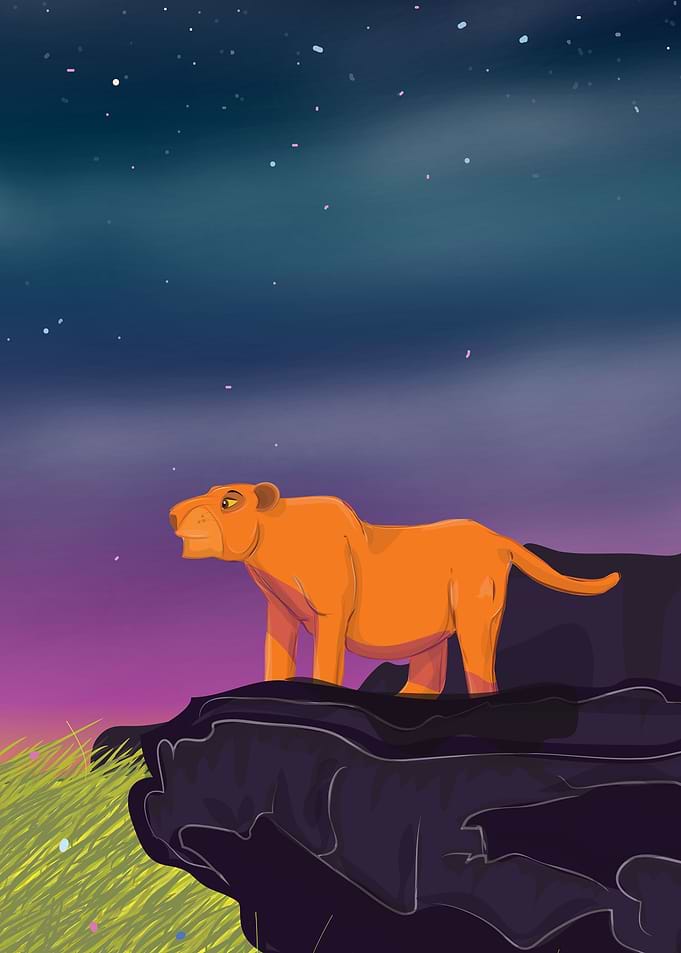 Lion at night