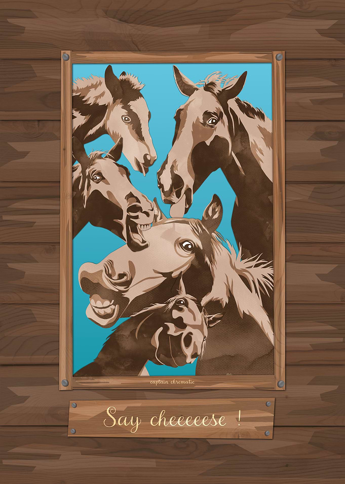 Funny horses Say cheese