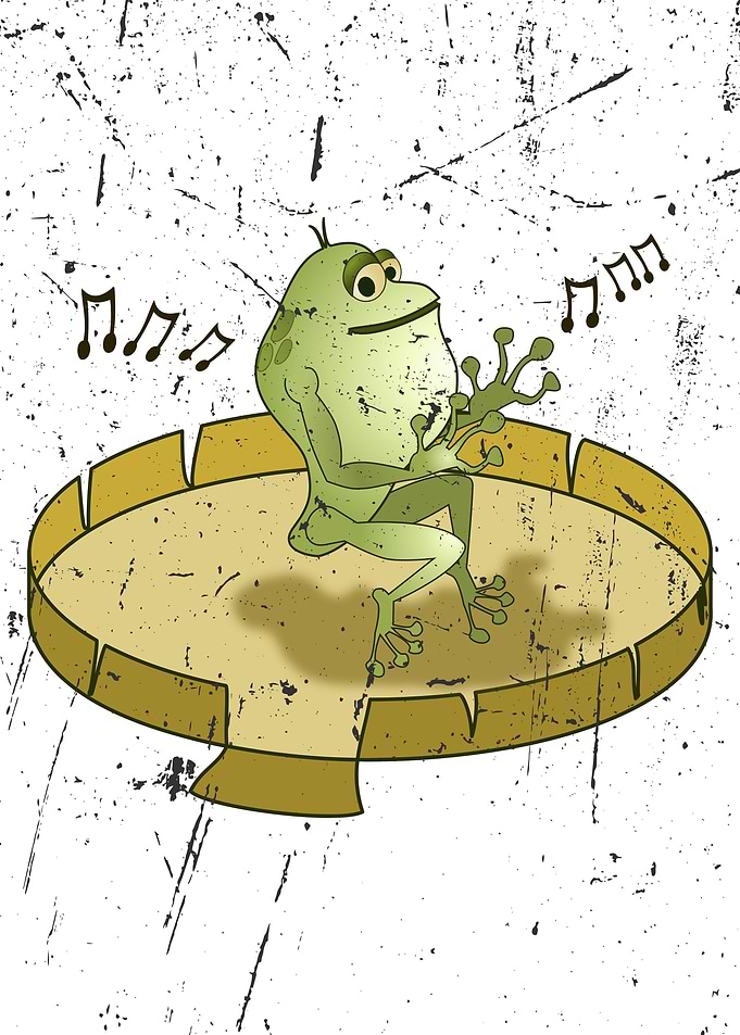 Music Lover