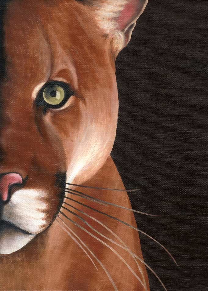 Puma face