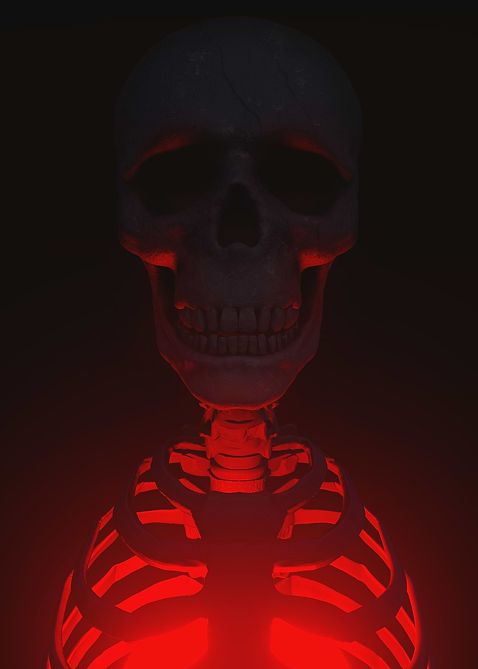Realistic human skeleton