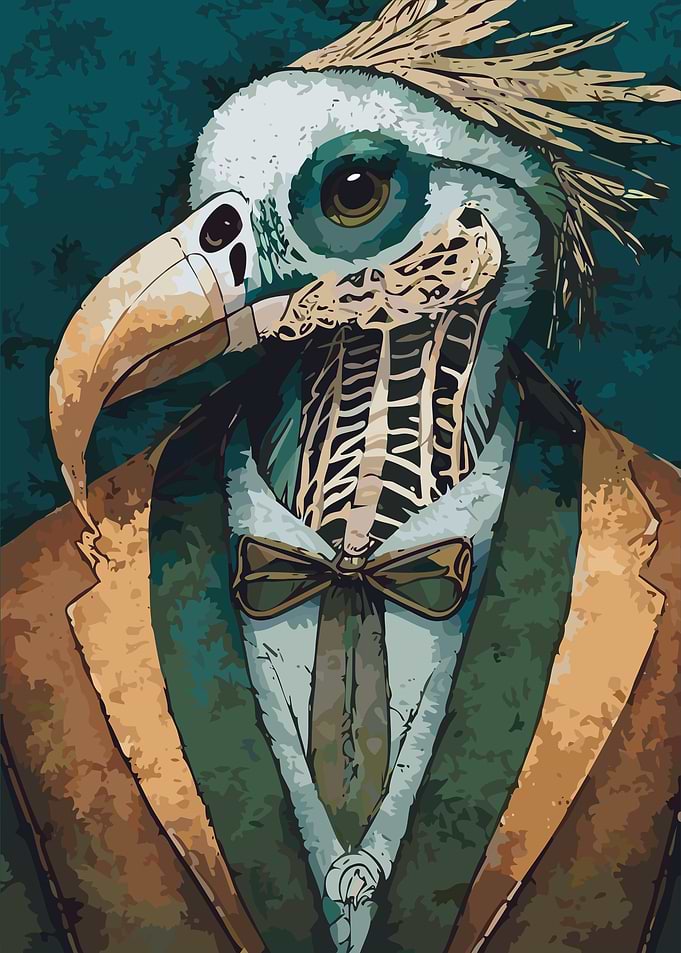 Bald Eagle Skull
