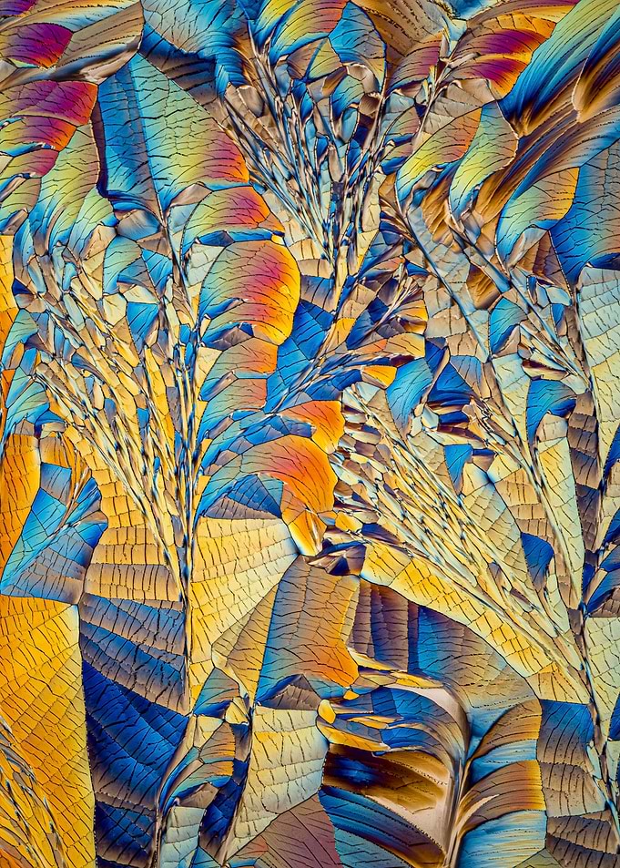 Crystal patterns XX