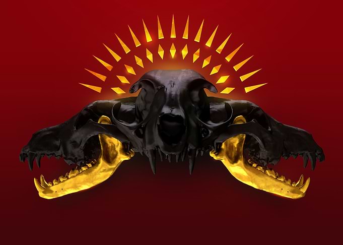 animal skull