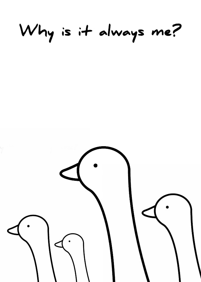duck Funny