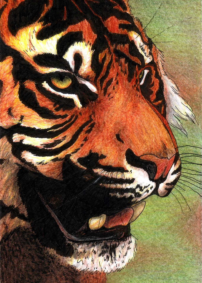 Tiger mouth