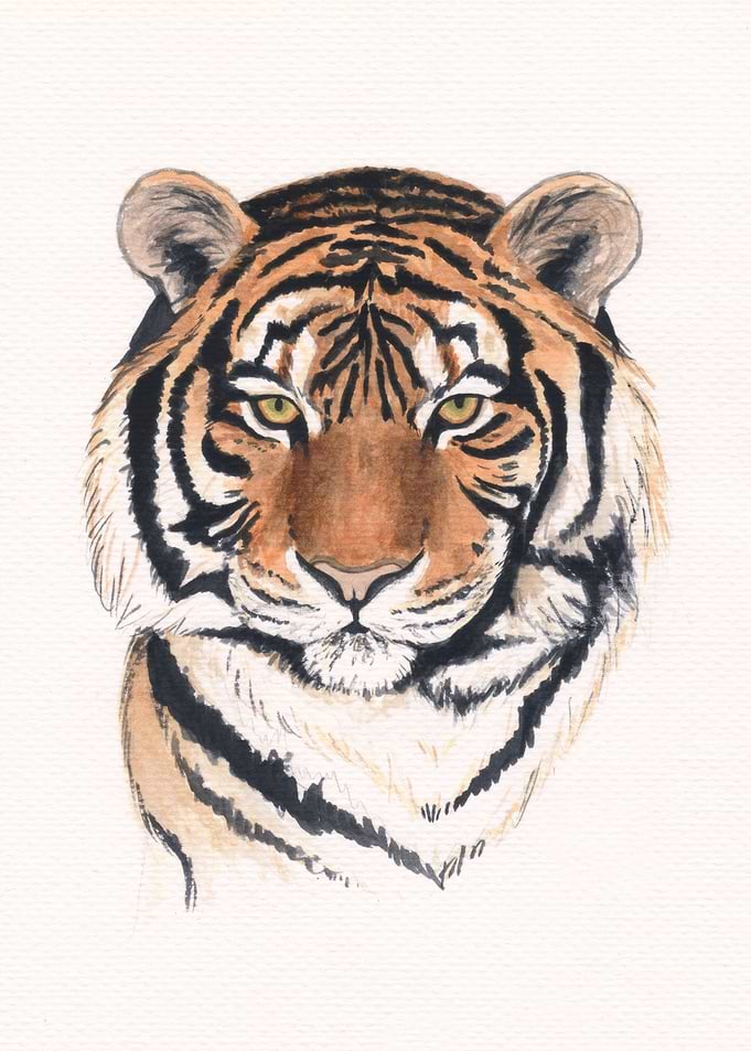 Tiger head