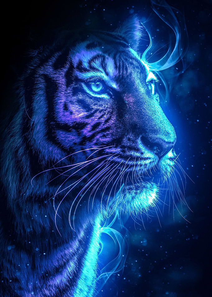 Tiger Spirit