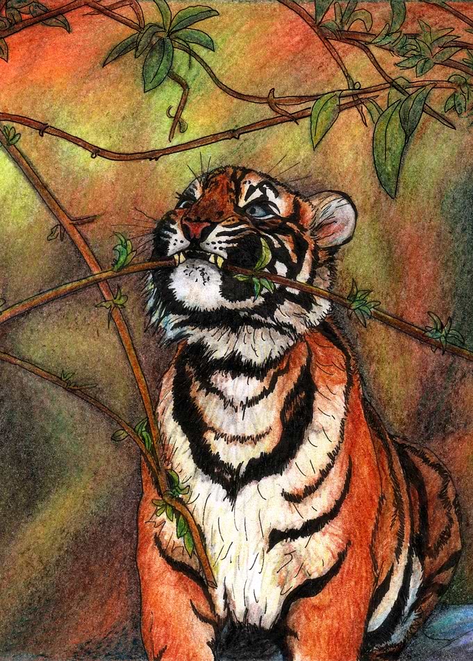 Baby tiger is playing