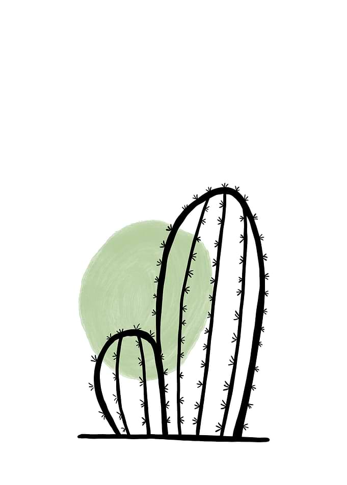 Cactus green watercolor