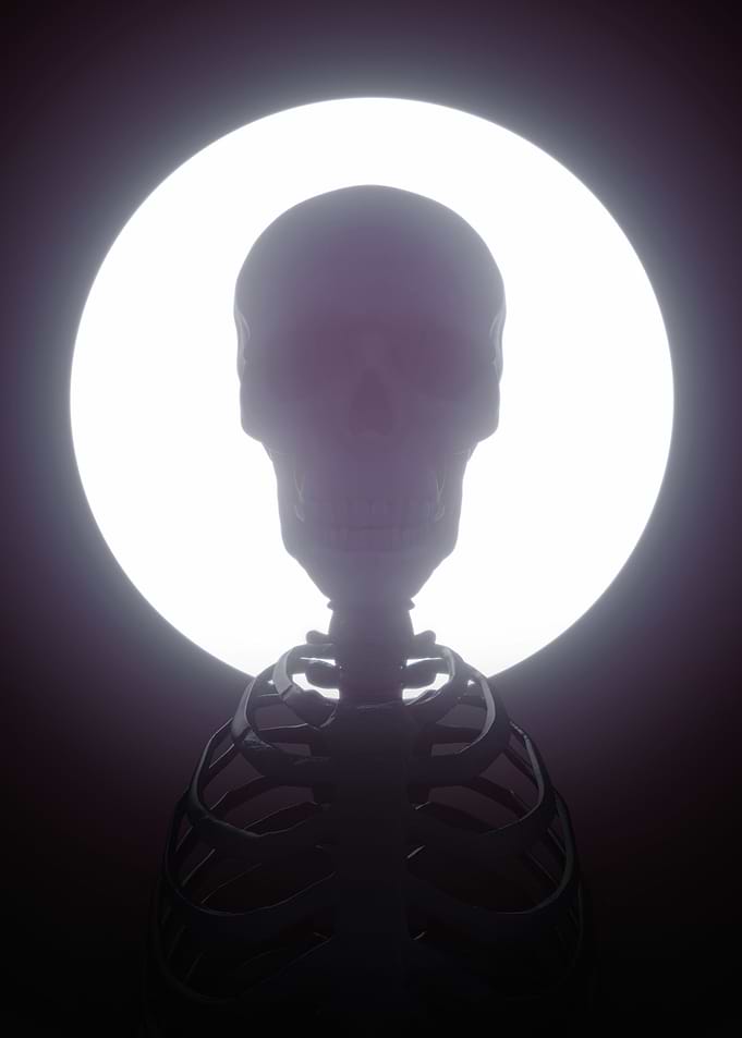 Realistic human skeleton