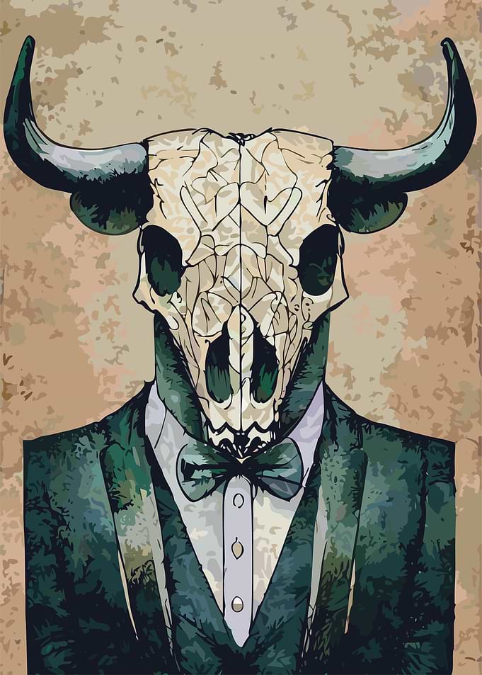 Dr Bull