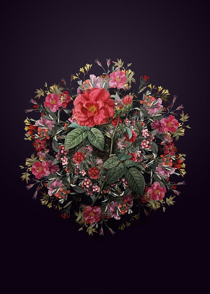 Apothecary Rose Wreath