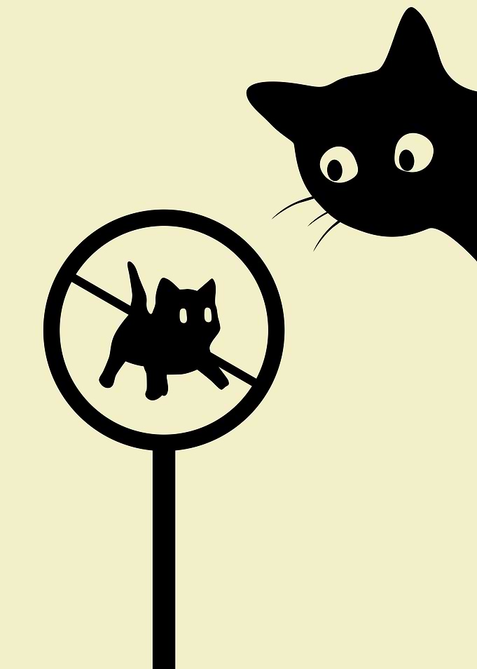 Warning Cat