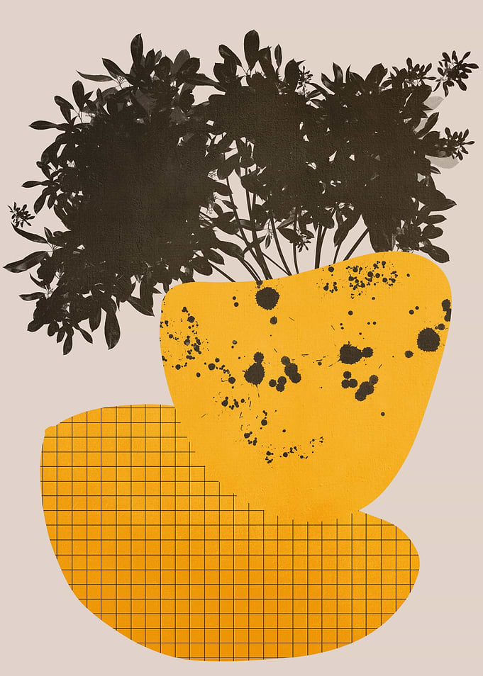 Natural Shapes VI