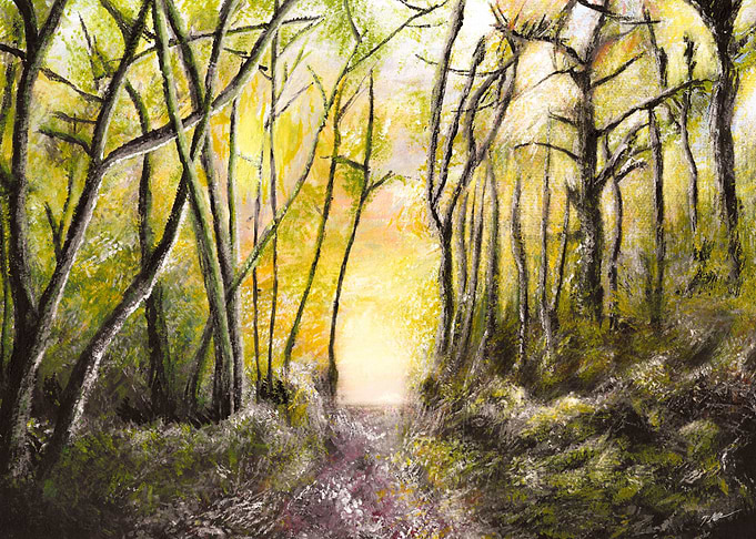 Abbey Wood Forest