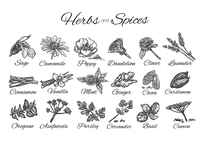 Herbs and Spices