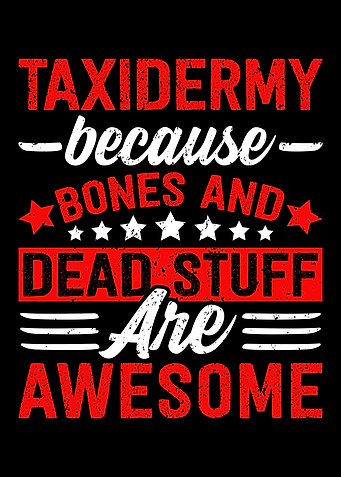 Dead Stuff Taxidermy